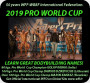 2019_a_pro_cup_1m.jpg